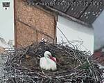 Capi_Dubne_20250506_122002.jpg