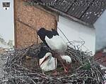 Capi_Dubne_20250506_122503.jpg