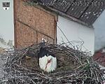 Capi_Dubne_20250506_123003.jpg