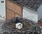 Capi_Dubne_20250506_124003.jpg