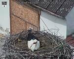 Capi_Dubne_20250506_124503.jpg