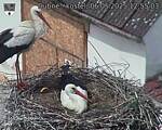 Capi_Dubne_20250506_125503.jpg