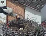 Capi_Dubne_20250506_131002.jpg