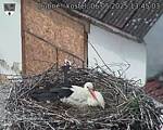 Capi_Dubne_20250506_134503.jpg