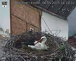 Capi_Dubne_20250506_141002.jpg