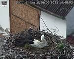 Capi_Dubne_20250506_144003.jpg