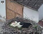 Capi_Dubne_20250506_145503.jpg