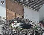Capi_Dubne_20250506_151503.jpg