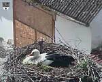 Capi_Dubne_20250506_152003.jpg