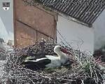 Capi_Dubne_20250506_153502.jpg