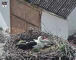 Capi_Dubne_20250506_154003.jpg