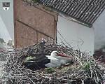Capi_Dubne_20250506_154503.jpg