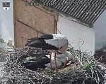 Capi_Dubne_20250506_155503.jpg