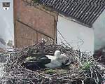Capi_Dubne_20250506_160002.jpg