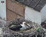 Capi_Dubne_20250506_160503.jpg