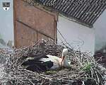 Capi_Dubne_20250506_161003.jpg