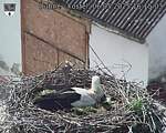 Capi_Dubne_20250506_161503.jpg