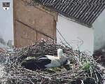 Capi_Dubne_20250506_162003.jpg
