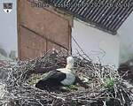 Capi_Dubne_20250506_162502.jpg