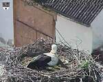 Capi_Dubne_20250506_163002.jpg