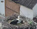 Capi_Dubne_20250506_163503.jpg