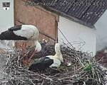 Capi_Dubne_20250506_164002.jpg