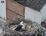 Capi_Dubne_20250506_164503.jpg