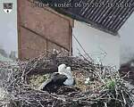 Capi_Dubne_20250506_165002.jpg