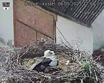 Capi_Dubne_20250506_170003.jpg