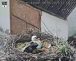 Capi_Dubne_20250506_171003.jpg