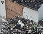 Capi_Dubne_20250506_171503.jpg