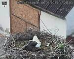 Capi_Dubne_20250506_172003.jpg