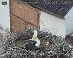 Capi_Dubne_20250506_172503.jpg