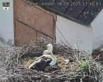 Capi_Dubne_20250506_174003.jpg