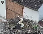 Capi_Dubne_20250506_175003.jpg
