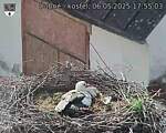 Capi_Dubne_20250506_175503.jpg