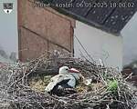 Capi_Dubne_20250506_180002.jpg