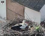 Capi_Dubne_20250506_181503.jpg