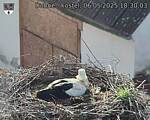 Capi_Dubne_20250506_183003.jpg