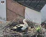 Capi_Dubne_20250506_185503.jpg