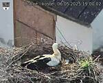 Capi_Dubne_20250506_190002.jpg