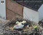 Capi_Dubne_20250506_190502.jpg