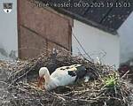 Capi_Dubne_20250506_191503.jpg
