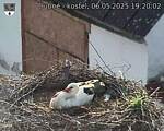 Capi_Dubne_20250506_192002.jpg