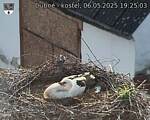 Capi_Dubne_20250506_192503.jpg