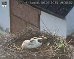 Capi_Dubne_20250506_193002.jpg