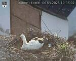 Capi_Dubne_20250506_193502.jpg