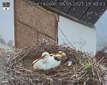 Capi_Dubne_20250506_194003.jpg