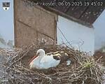 Capi_Dubne_20250506_194502.jpg