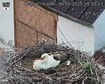 Capi_Dubne_20250506_195003.jpg